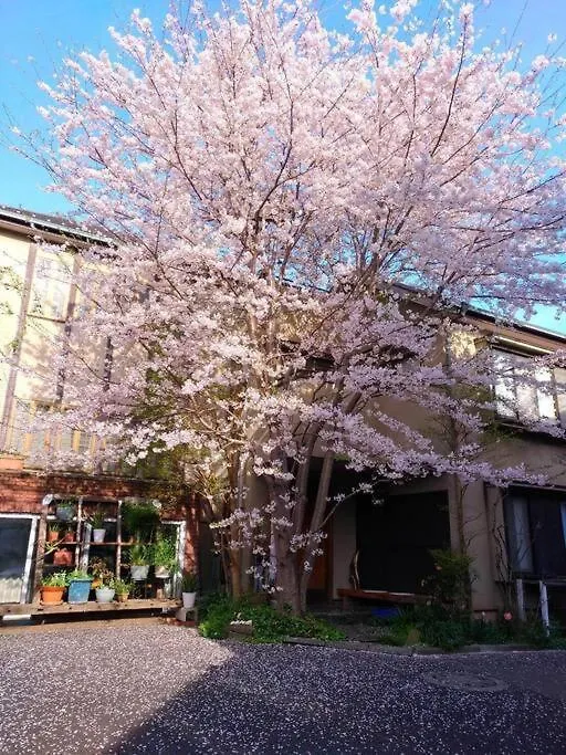 Diplomat House Very Close To Jr Station Prefektura Tokio